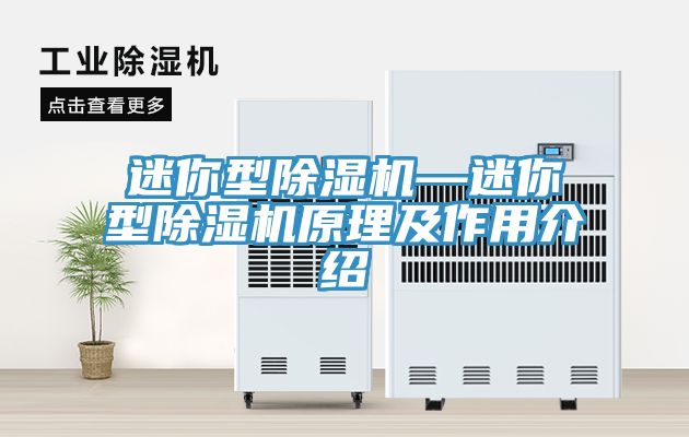 迷你型草莓污视频在线看—迷你型草莓污视频在线看原理及作用介紹