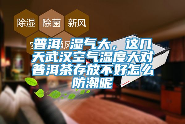 普洱 濕氣大，這幾天武漢空氣濕度大對普洱茶存放不好怎麽防潮呢