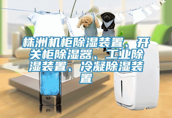 株洲機櫃除濕裝置、開關櫃除濕器、工業除濕裝置、冷凝除濕裝置