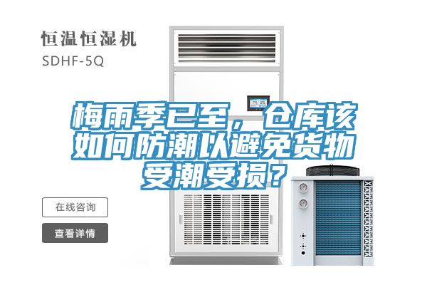 梅雨季已至，倉庫該如何防潮以避免貨物受潮受損？