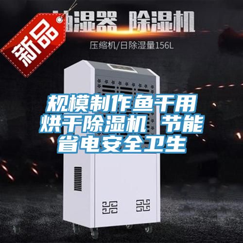 規模製作魚幹用烘幹草莓污视频在线看 節能省電安全衛生