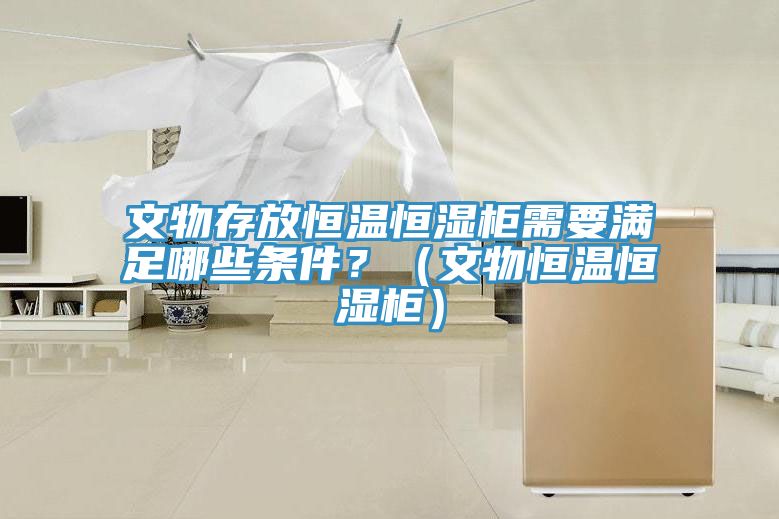 文物存放恒溫恒濕櫃需要滿足哪些條件？（文物恒溫恒濕櫃）