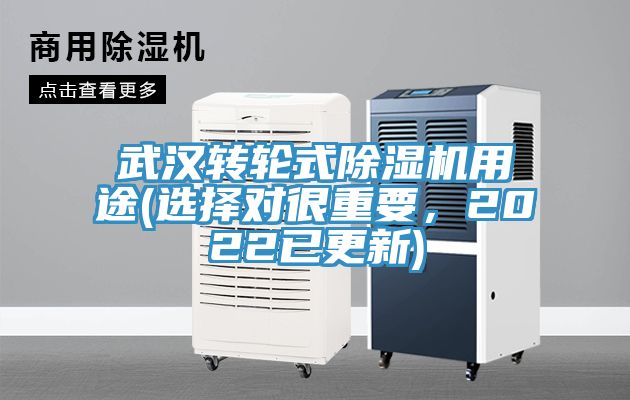 武漢轉輪式草莓污视频在线看用途(選擇對很重要，2022已更新)