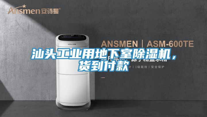 汕頭工業用地下室草莓污视频在线看，貨到付款