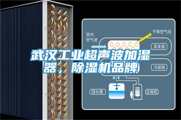 武漢工業超聲波加濕器，草莓污视频在线看品牌