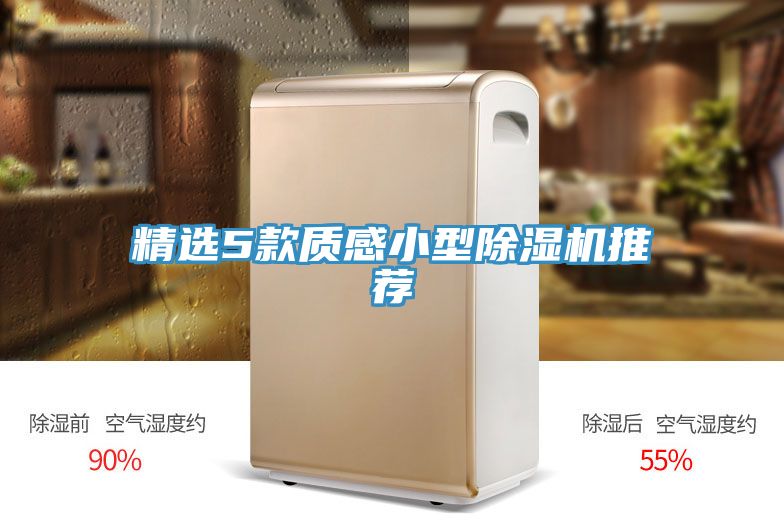 精選5款質感小型草莓污视频在线看推薦