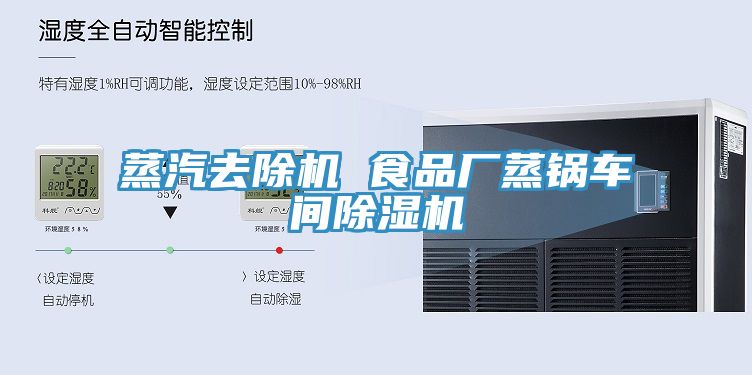 蒸汽去除機 食品廠蒸鍋車間草莓污视频在线看