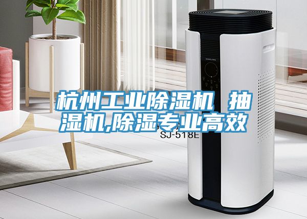 杭州工業草莓污视频在线看 抽濕機,除濕專業高效
