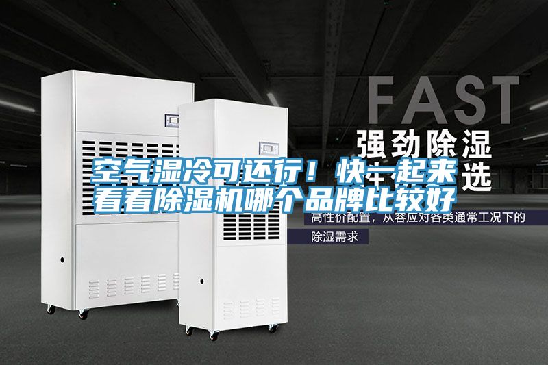 空氣濕冷可還行！快一起來看看草莓污视频在线看哪個品牌比較好