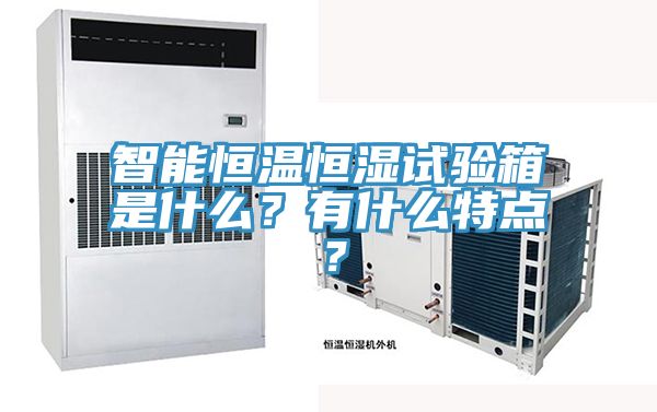 智能恒溫恒濕試驗箱是什麽？有什麽特點？