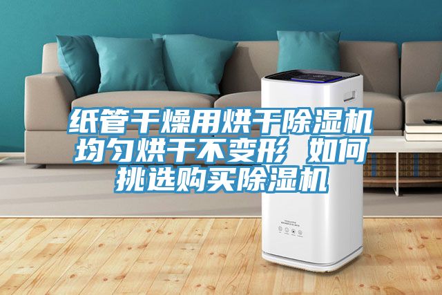 紙管幹燥用烘幹草莓污视频在线看均勻烘幹不變形 如何挑選購買草莓污视频在线看