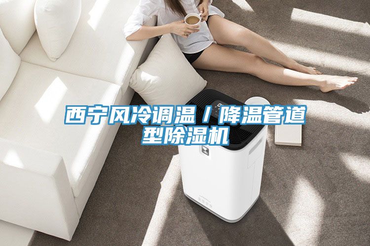 西寧風冷調溫／降溫管道型草莓污视频在线看