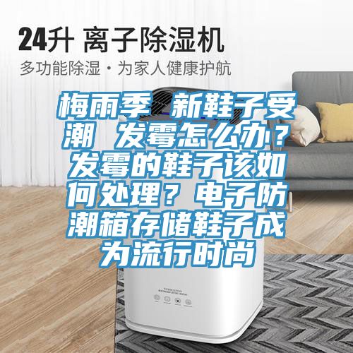 梅雨季 新鞋子受潮 發黴怎麽辦？發黴的鞋子該如何處理？電子防潮箱存儲鞋子成為流行時尚