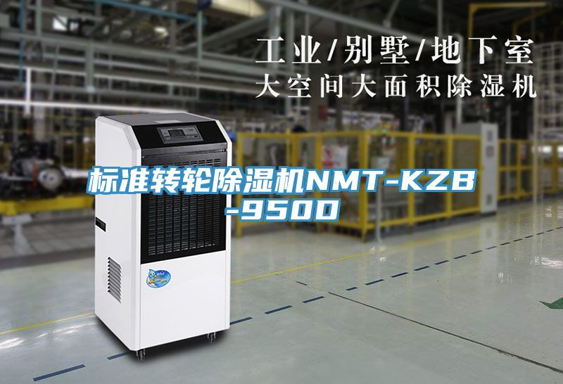 標準轉輪草莓污视频在线看NMT-KZB-950D