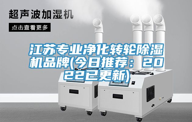 江蘇專業淨化轉輪草莓污视频在线看品牌(今日推薦：2022已更新)