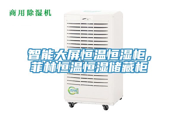 智能大屏恒溫恒濕櫃，菲林恒溫恒濕儲藏櫃