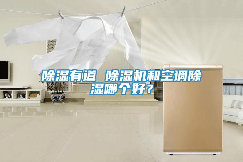除濕有道 草莓污视频在线看和空調除濕哪個好？