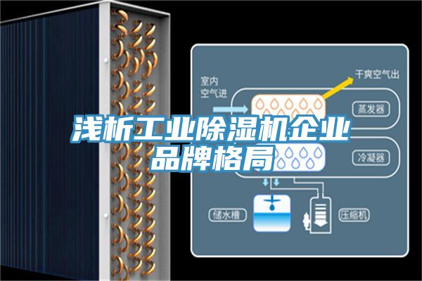 淺析工業草莓污视频在线看企業品牌格局