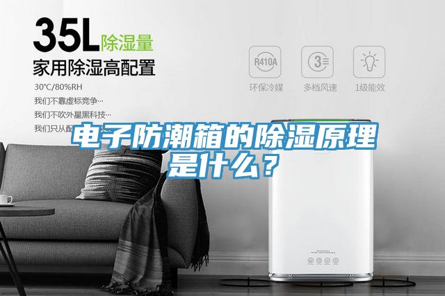 電子防潮箱的除濕原理是什麽？