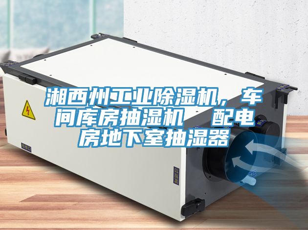 湘西州工業草莓污视频在线看，車間庫房抽濕機  配電房地下室抽濕器