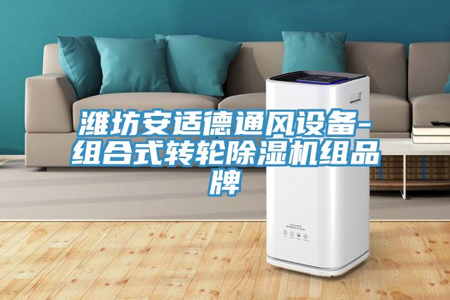 濰坊安適德通風設備-組合式轉輪草莓污视频在线看組品牌