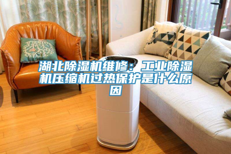 湖北草莓污视频在线看維修：工業草莓污视频在线看壓縮機過熱保護是什麽原因