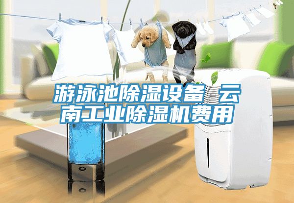 遊泳池除濕設備 雲南工業草莓污视频在线看費用