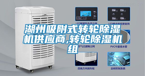 湖州吸附式轉輪草莓污视频在线看供應商,轉輪草莓污视频在线看組