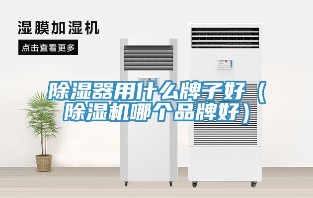 除濕器用什麽牌子好（草莓污视频在线看哪個品牌好）