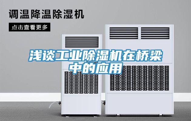 淺談工業草莓污视频在线看在橋梁中的應用