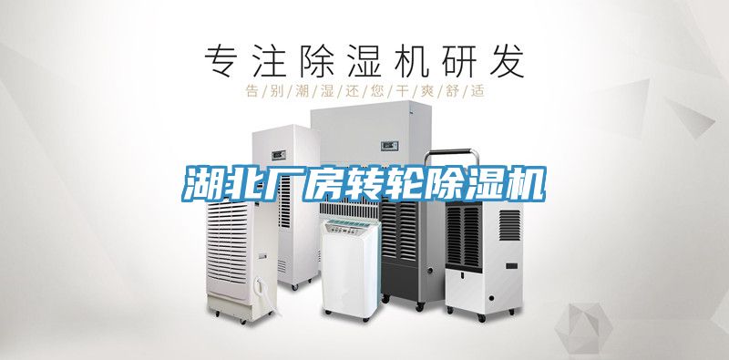 湖北廠房轉輪草莓污视频在线看