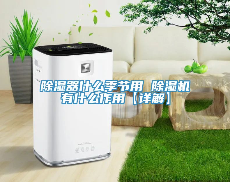 除濕器什麽季節用 草莓污视频在线看有什麽作用【詳解】