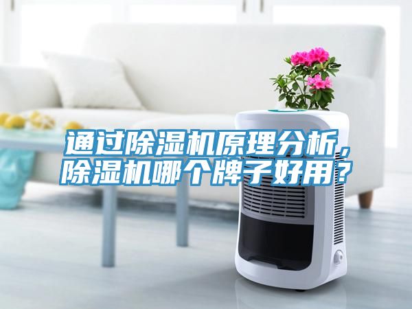 通過草莓污视频在线看原理分析，草莓污视频在线看哪個牌子好用？