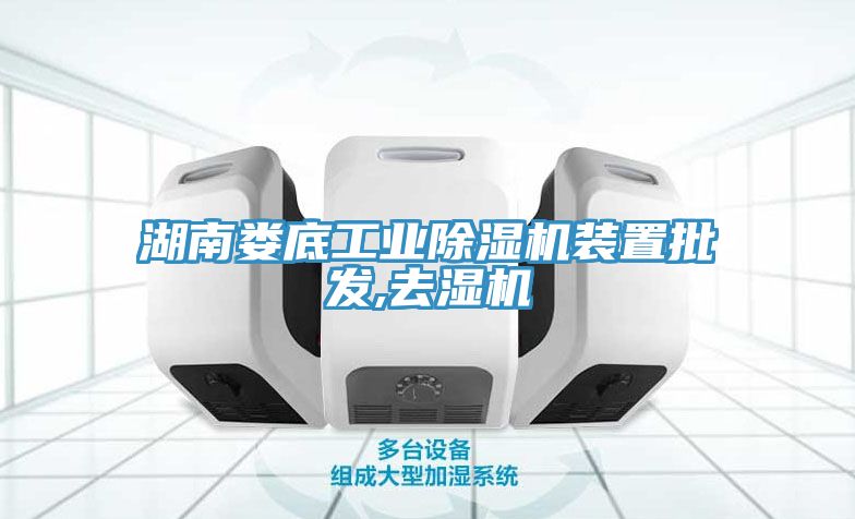 湖南婁底工業草莓污视频在线看裝置批發,去濕機