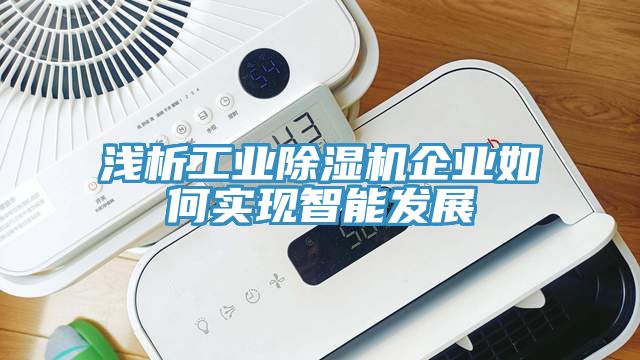 淺析工業草莓污视频在线看企業如何實現智能發展