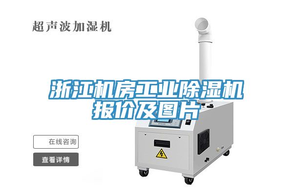 浙江機房工業草莓污视频在线看報價及圖片