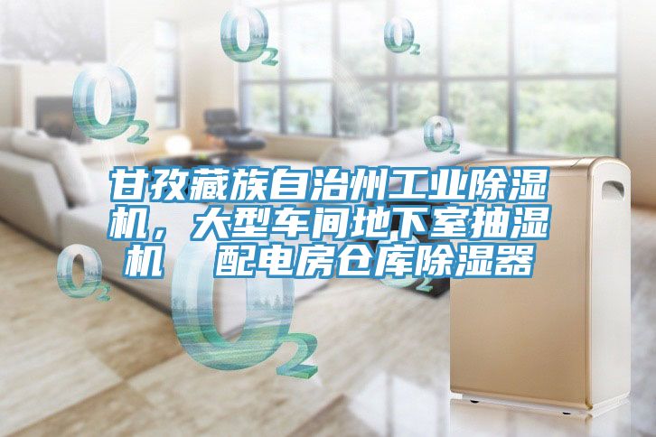 甘孜藏族自治州工業草莓污视频在线看，大型車間地下室抽濕機  配電房倉庫除濕器