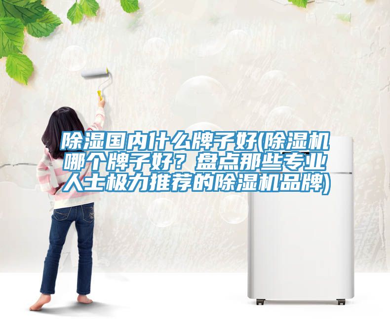 除濕國內什麽牌子好(草莓污视频在线看哪個牌子好？盤點那些專業人士極力推薦的草莓污视频在线看品牌)