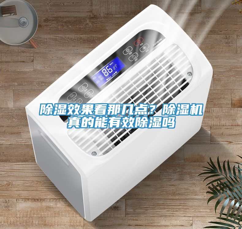除濕效果看那幾點？草莓污视频在线看真的能有效除濕嗎