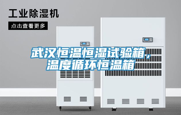 武漢恒溫恒濕試驗箱，溫度循環恒溫箱