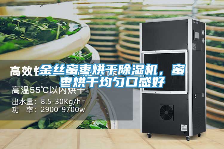 金絲蜜棗烘幹草莓污视频在线看，蜜棗烘幹均勻口感好