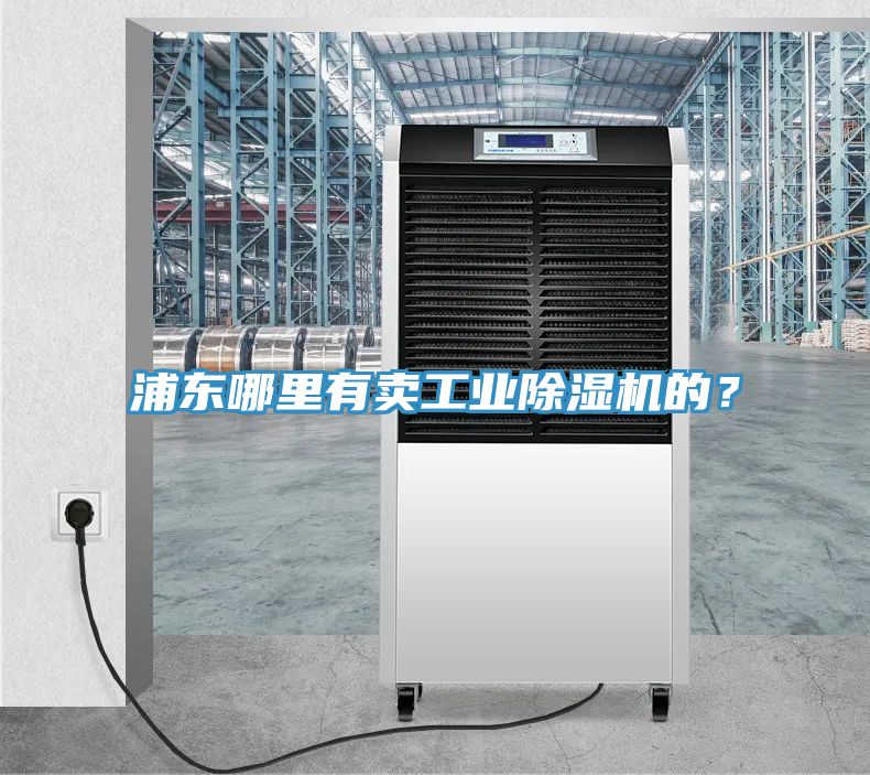 浦東哪裏有賣工業草莓污视频在线看的？