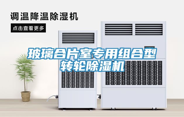 玻璃合片室專用組合型轉輪草莓污视频在线看