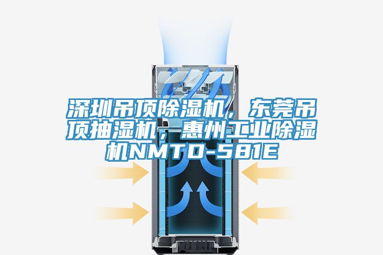 深圳吊頂草莓污视频在线看，東莞吊頂抽濕機，惠州工業草莓污视频在线看NMTD-581E