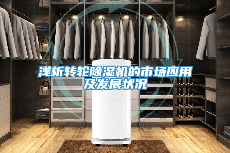 淺析轉輪草莓污视频在线看的市場應用及發展狀況