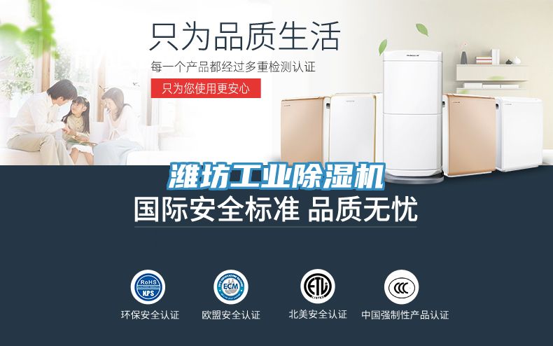 濰坊工業草莓污视频在线看