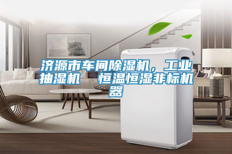 濟源市車間草莓污视频在线看，工業抽濕機  恒溫恒濕非標機器