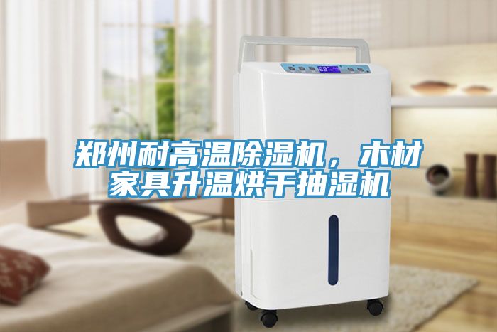 鄭州耐高溫草莓污视频在线看，木材家具升溫烘幹抽濕機