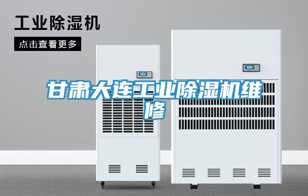 甘肅大連工業草莓污视频在线看維修