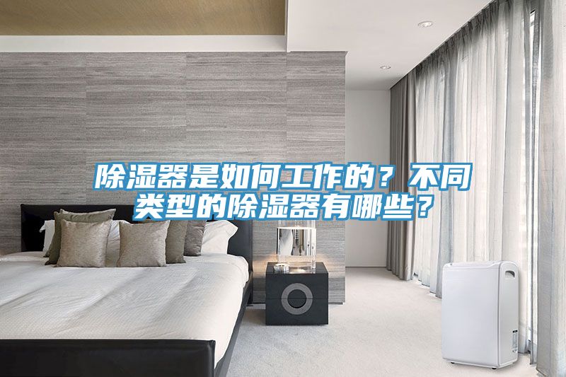 除濕器是如何工作的？不同類型的除濕器有哪些？